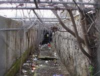 Imagine atasata: pasaj pietonal de langa pasajul Jiul 04.JPG